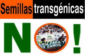 no-semillas-transgenicas