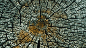 17dc6f7e5a398cb1d0925d8f52887066_article