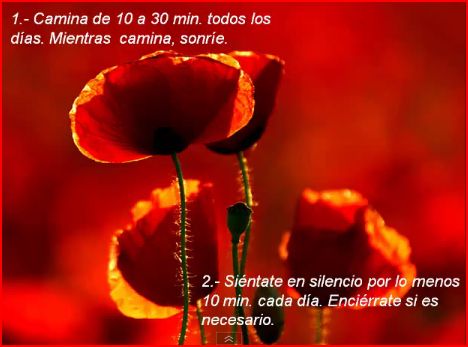 RELAJATE ESCUCHA MIRA Y ADMIRA