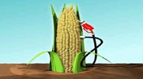 biocombustibles120812