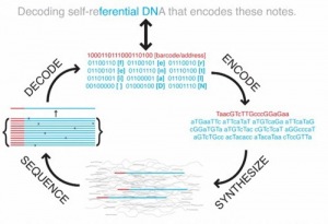 coding-decoding-dna-storage
