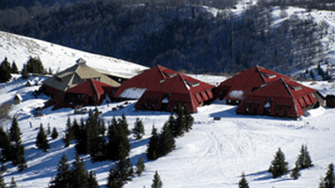 215ad9d90a64cc384c3ba82be394a5e2_article