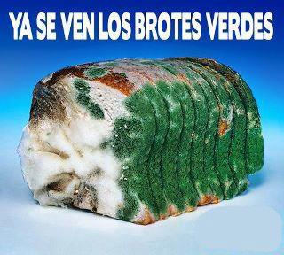 brotesverdes