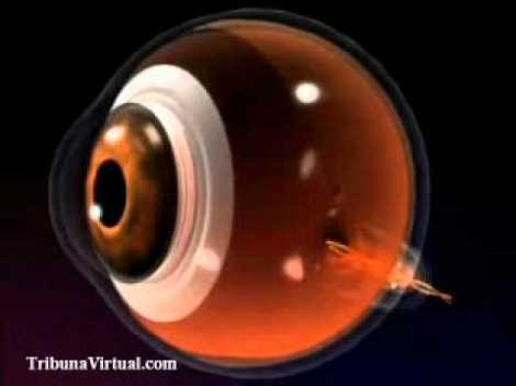 El Cosmos Invisible y Luz Fantastica