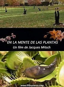 enlamentedelasplantas