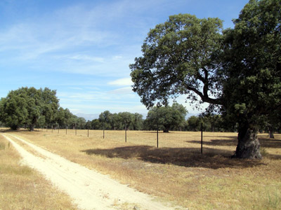 1361205732201montes-c-lamanchadn