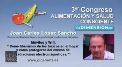 Como liberarnos de los tóxicos en el hogar