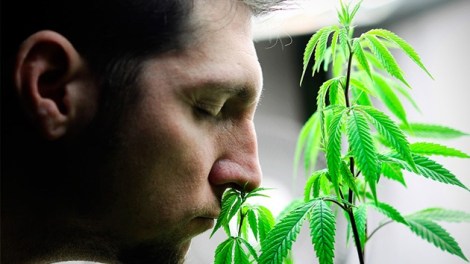 708ddd1314b116e7a815ed522c072e1b_article