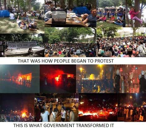 935864_10201346626655523_407136472_n