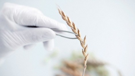 c786ec5d44ac68dd383780e39caf91db_article