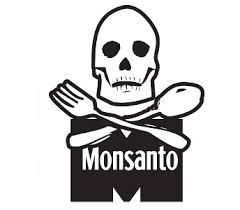 MONSANTO