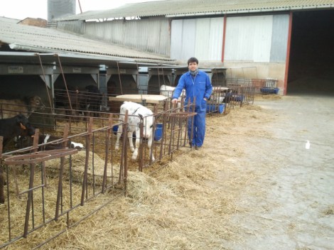 Entrevista con Roger Rabés, el ganadero desobediente Entrevista con Roger Rabés, el ganadero desobediente