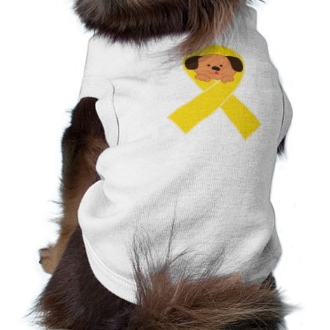 Lo-que-significa-un-lazo-amarillo_5