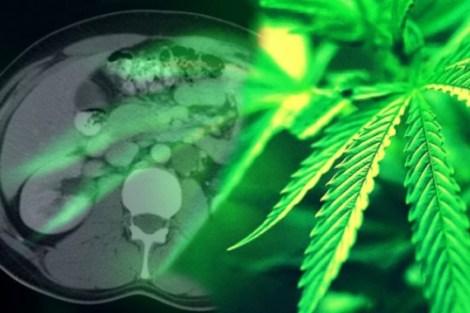 Universidad-Complutense-de-Madrid