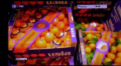 TV reportaje El amargo negocio de las naranjas