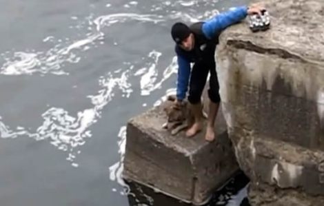 La-alegría-de-un-perro-al-ser-rescatado-de-una-muerte-segura