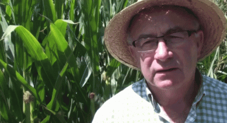 La invasión de las semillas transgénicas con Josep Pàmies 