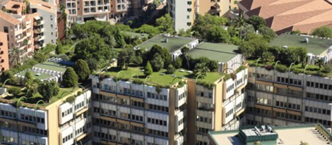 Los techos verdes son obligatorios ahora en Copenhague