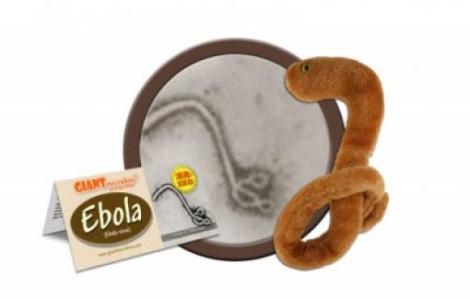 Peluches del virus del Ébola se agotaron en Estados Unidos