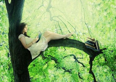 Por qué debes caminar descalzo por el bosque o la importancia de reconectarse con la naturaleza