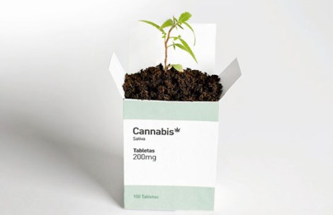 El-THC-ordena-un-suicidio-programado-a-las-células-cancerosas